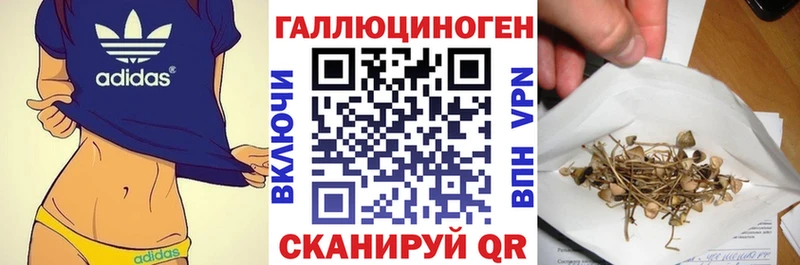 Псилоцибиновые грибы GOLDEN TEACHER  Мамадыш 